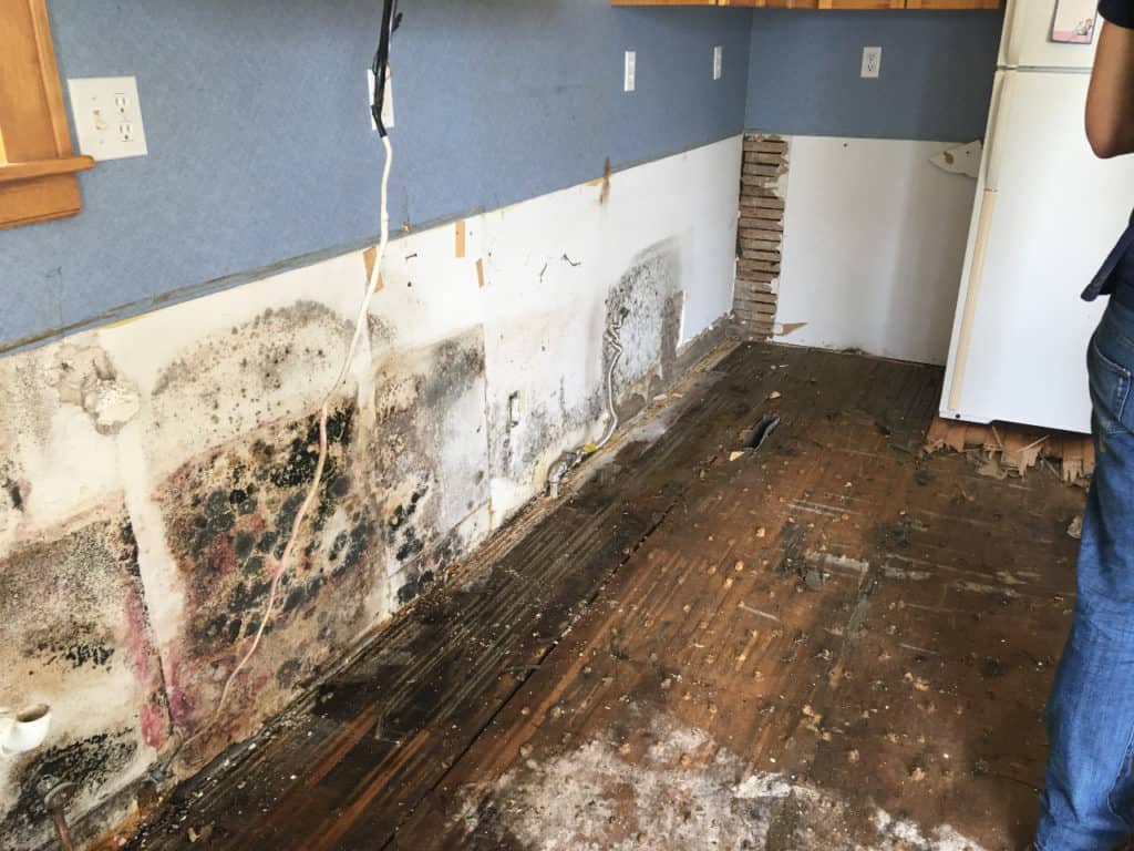Mold Removal Near Me Minneapolis Water Damage