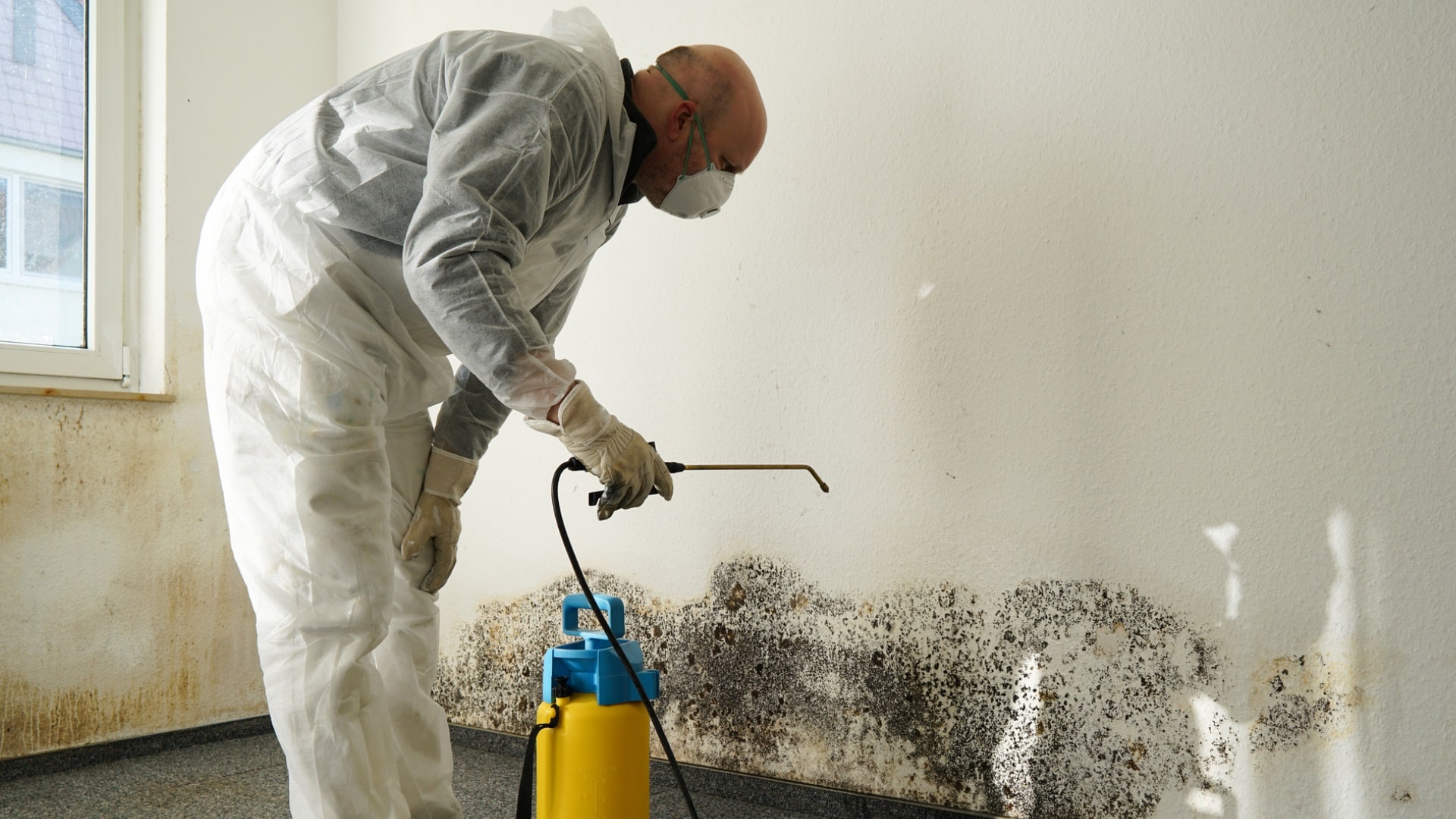 Mold Removal Minneapolis, Mold Remediation Minneapolis, Minneapolis Water Damage Specialist 247, Water Damage, Water Damage Repair, Water Damage Restoration, Water Damage Restoration, Water Removal